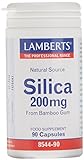 Lamberts Silicio 200 mg - 90 Tabletas