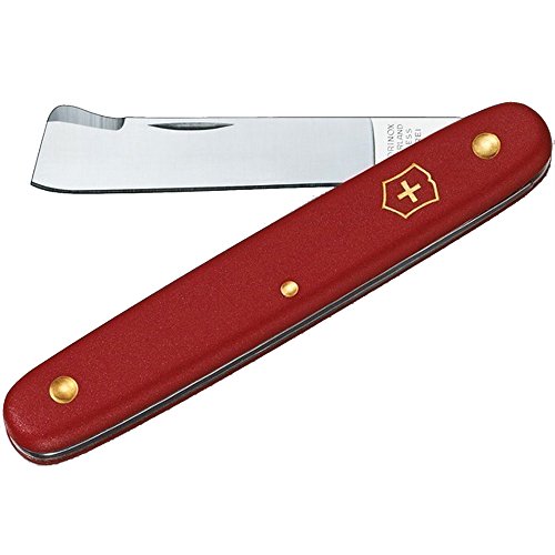 Victorinox Okulier Gerade Klinge Navaja para INJERTAR, ROJA 39020, Rojo Ecoline, Talla Única