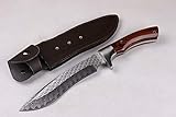 FARDEER KNIFE N680 excelente cuchillo recto para exteriores / cuchillo de caza