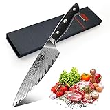 SHAN ZU Cuchillo de Cocina Damasco 20m, Cuchillo Chef Profesional de Acero Damasco AUS-10 Japones de 67 Capas, Cuchillo...