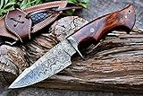 BIGCAT ROAR 25.4 cm Cuchillo de caza de Damasco hecho a mano con funda de cuero - Ideal para desollar, acampar - EDC...
