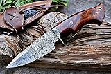 BIGCAT ROAR 25.4 cm Cuchillo de caza de Damasco hecho a mano con funda de cuero - Ideal para desollar, acampar - EDC...