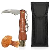 Cuchillo para setas con cepillo y regla, mango de madera marrón, hoja de acero, incluye funda Navaja