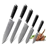 NANFANG BROTHERS Cuchillo de Cocina Profesional | 5 pzas | Cuchillo de Acero de Damasco VG-10 de 67 Capas, Cuchillo de...