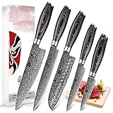 XINZUO Set Cuchillo Cocina 5 Piezas Damasco Japonés 67 Capas Profesional Cuchillo Chef 20cm Cuchillo Santoku 17,8cm...