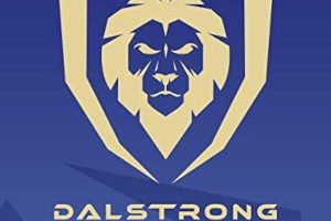 Cómo son los cuchillos Dalstrong